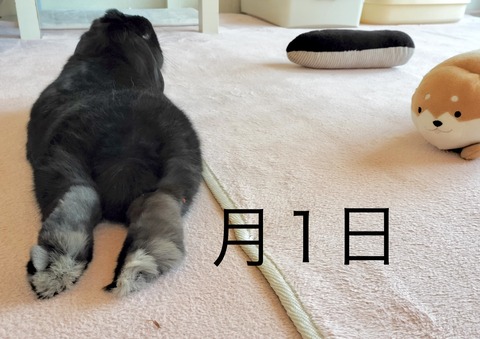 F98FB381-45CD-45A0-ADEE-E501462079BB