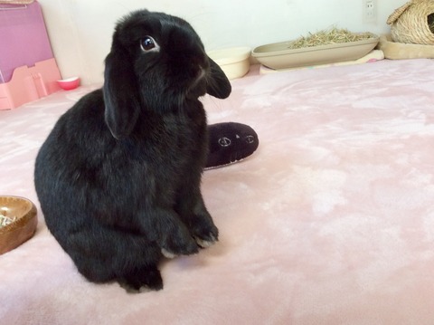 DA3DE2BA-0D4D-495B-A4F8-95CE4CC0256E