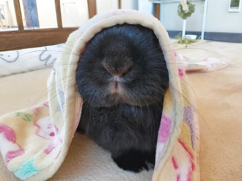 36016B93-5EC1-44DD-909E-9F48D5F3867B