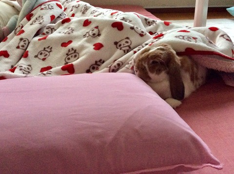 DDC681AD-0944-4F46-85BB-75DB2ADAD6CA