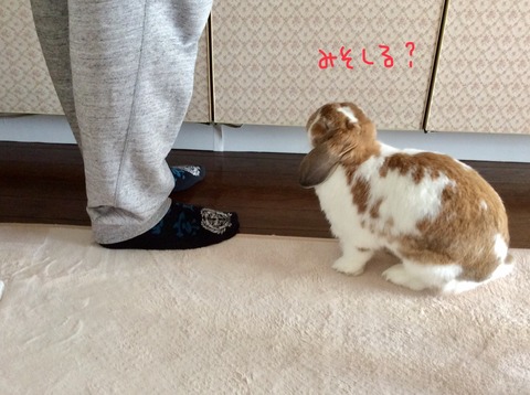 8FBFF485-B69C-4188-9A4E-3CA08BE2B77F