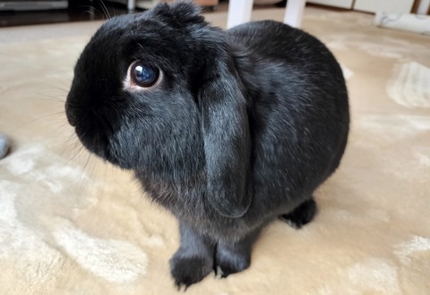 A01E96F9-60FD-414D-930E-4799A7477190