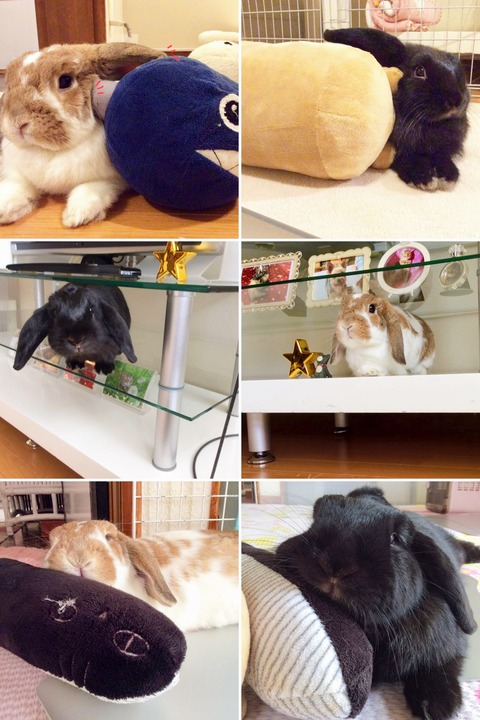 5BA111CF-242A-445E-9218-479F3161FB30