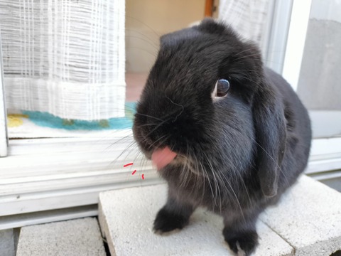 D3215A9A-94DC-4FD9-8F2A-184AECFFC2D6