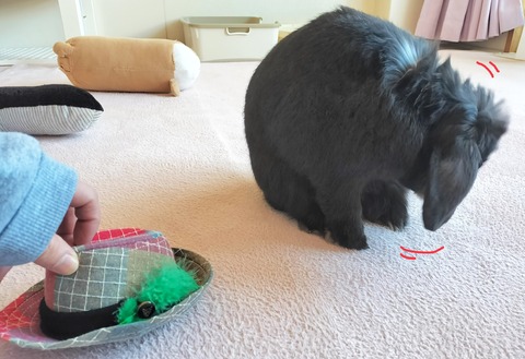 D8568E22-A309-4DE4-9BB7-AD9337EBEB62