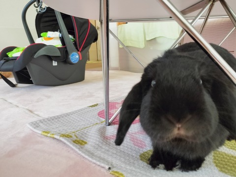 8AE1B5D1-DDA3-4787-AF56-85A44C5B1A7F