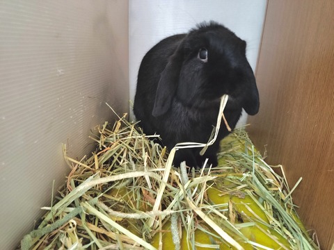 2B390CB3-60A2-4C91-A31D-72D1B23E08F0