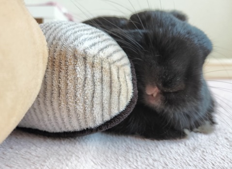 63F26C74-9A87-40DD-93B2-BED41890B7C3