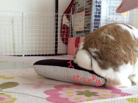 35752440-3A6C-4297-8A31-3BA3862856D8