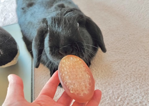 9DDD6575-28C6-4B90-B42C-CC6A8A7470FC