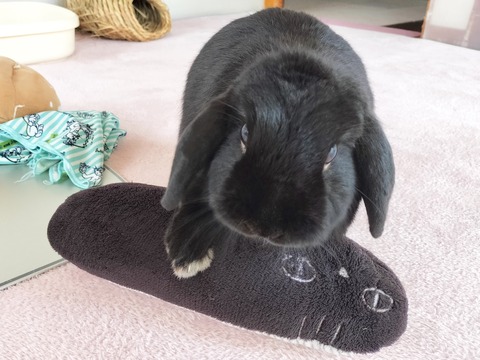 D416BAFB-AFE4-4154-8F67-2E70CA578D4B