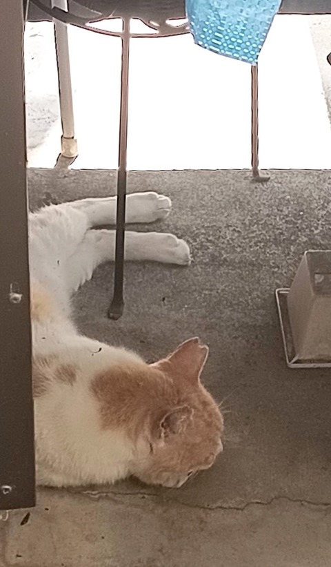 C8C1DFA1-7378-49EE-8385-03CF6A5604C2