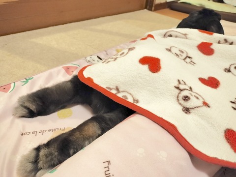 27B72164-C33D-42CB-9EBE-F3459EF0EC45