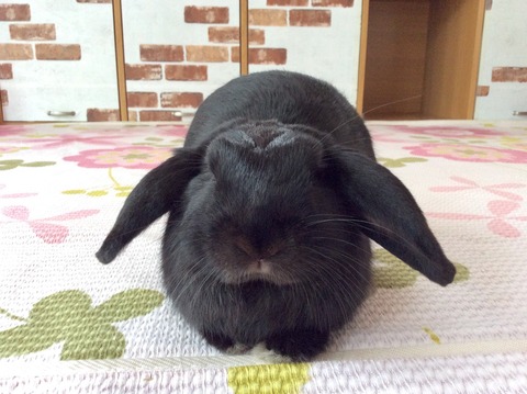 F05476CC-4AF7-4F8D-AE57-761B08928784