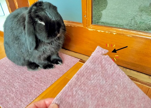 DCC094C4-C437-413D-BEF5-E88AC8ADE33A