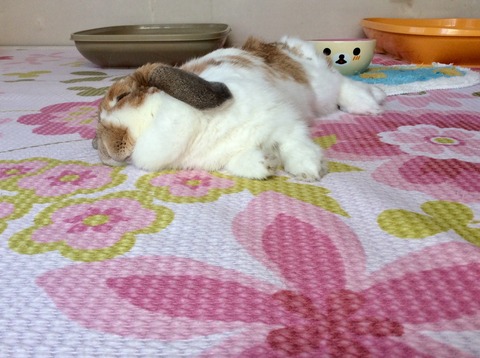 A963DFD2-9060-4047-A2DD-5AA39F82535C