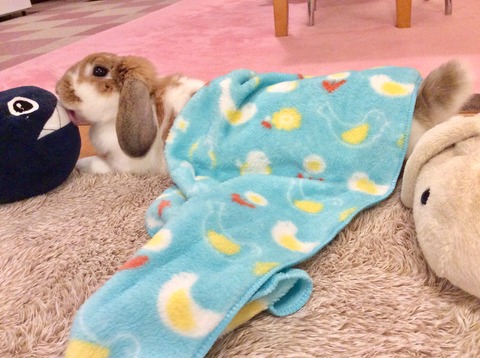 6B050498-5186-4CF6-9715-4F59FDD1E561