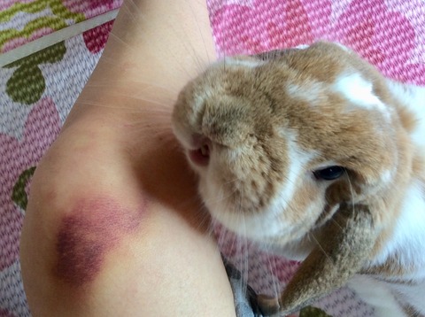 ACAF7BF6-AA38-47CC-84C8-7E14C0E8ECD3