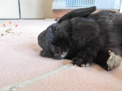 BD27C1D9-EF98-4B99-BFC8-88A62B2D51CF