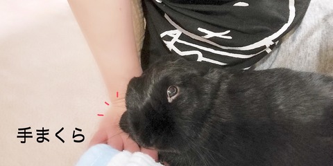 9BDEAAB5-B266-4CF2-B3AA-06AE4876E49C