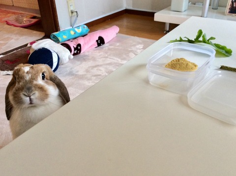 16A6047D-B14F-4032-9F90-3EDACA1D266C