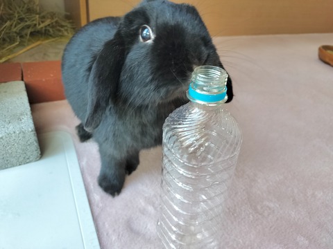 C87711EF-BB8E-4634-9168-19100B3D6CDB