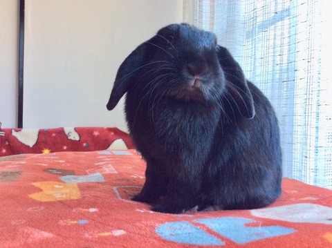 636020ED-DCD8-4AAB-8358-A846B9015E9B