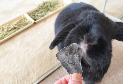 98F4ED04-6F34-49DF-94E9-AFB0177C9AE6