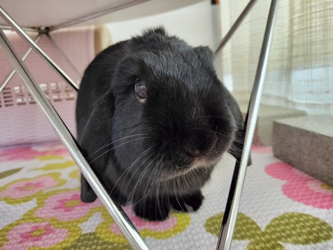 40BE1C45-93CF-4468-9BE2-8018A44AE4D6