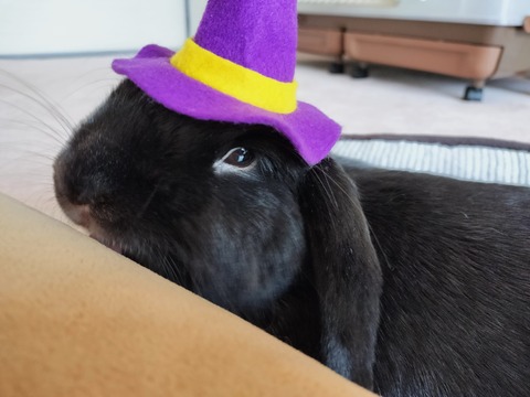 323BAE71-511A-4817-B5DD-847DCCFC6DD3