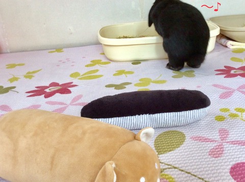 5A8C4CB1-8208-4C17-A40E-5282CC4EAED9