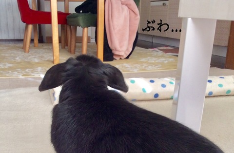 98B9722A-BDDB-4CB4-8C84-5250B321BB95