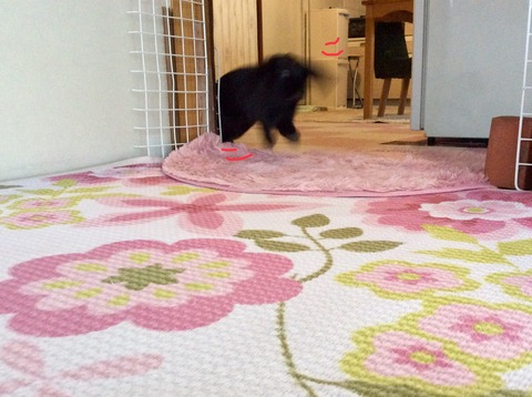 427106E7-B1F1-4761-A847-F54163F9F674