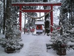 inari1