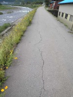 kurattku1