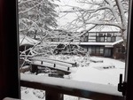 hirayu11