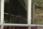 kaze19