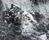 ���ļ���