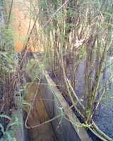 �����ӎ���