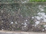 kamigo10