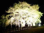 syokawa