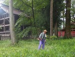 kusakari2