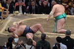 hosyoryu3