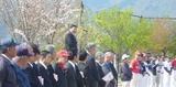 sakura-3
