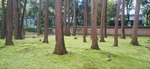 tosyo5
