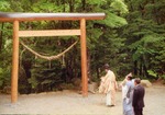 torii111
