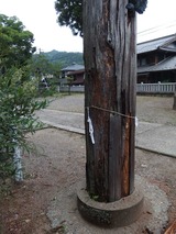 torii2
