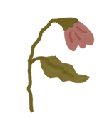 kareyuri