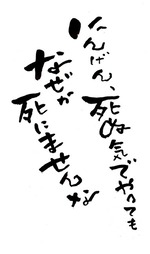 sinuki