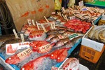 morita3
